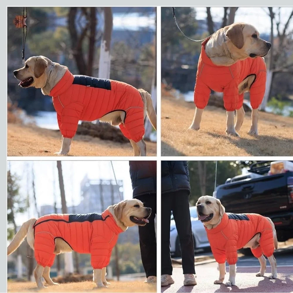 N/A size 2xl